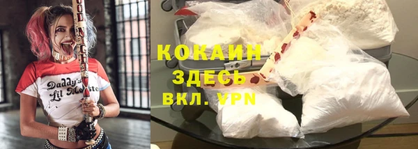 ешки Надым
